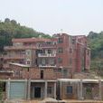 南坑村(廣東東莞市企石鎮下轄村) 南坑村(廣東東莞市企石鎮下轄村)