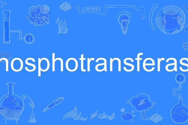 phosphotransferase phosphotransferase