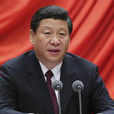 黨的建設(黨建（黨的建設的簡稱）)