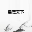 星舞天下 星舞天下