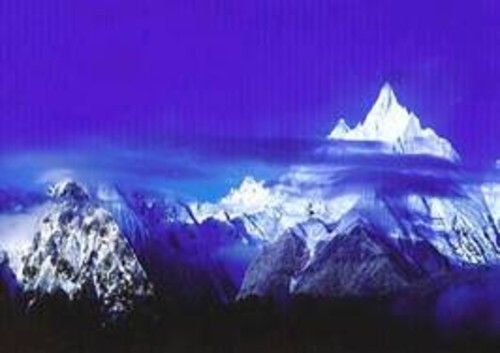 卓金山 卓金山