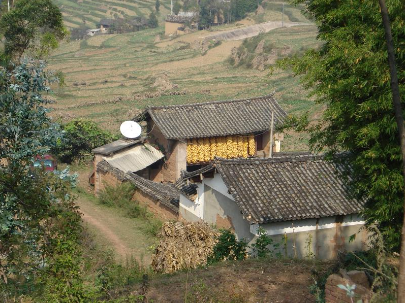五隊村 五隊村