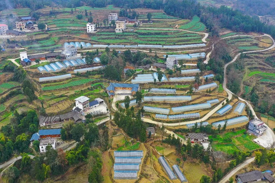 周寨村(貴州省思南縣三道水鄉下轄行政村) 周寨村(貴州省思南縣三道水鄉下轄行政村)