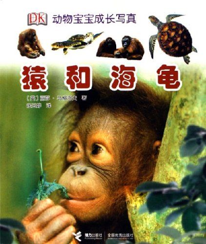 猿和海龜 猿和海龜