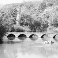 白楊坡村 白楊坡村