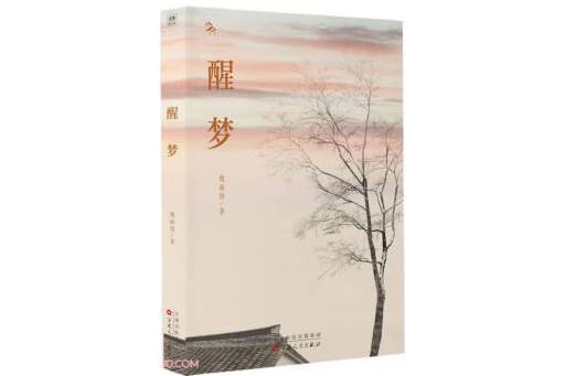 醒夢(2024年百花文藝出版社出版的圖書) 醒夢(2024年百花文藝出版社出版的圖書)