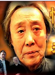 王瀾(中國大陸演員)