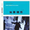 如影隨形(馮華2007年出版小說) 如影隨形(馮華2007年出版小說)