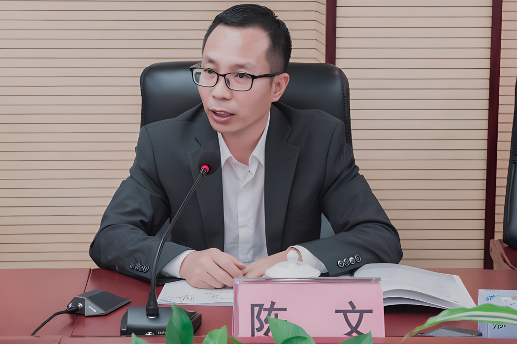陳文(深圳大學城市治理研究院執行院長、博士、教授) 陳文(深圳大學城市治理研究院執行院長、博士、教授)