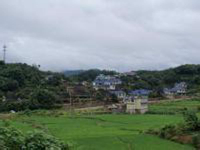 張家塘村 張家塘村