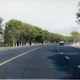 津圍公路 津圍公路