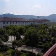 上房村(浙江省台州市三門縣橫渡鎮下轄村) 上房村(浙江省台州市三門縣橫渡鎮下轄村)
