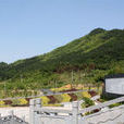涇縣雲嶺 涇縣雲嶺
