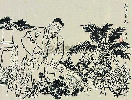 養花老舍 養花老舍