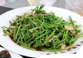 山珍蕨菜