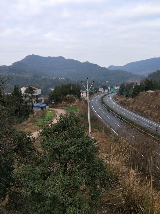 羅花山村 羅花山村