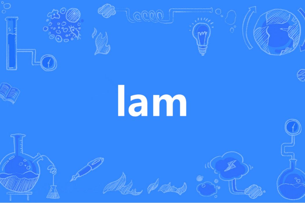 lam(英語單詞) lam(英語單詞)