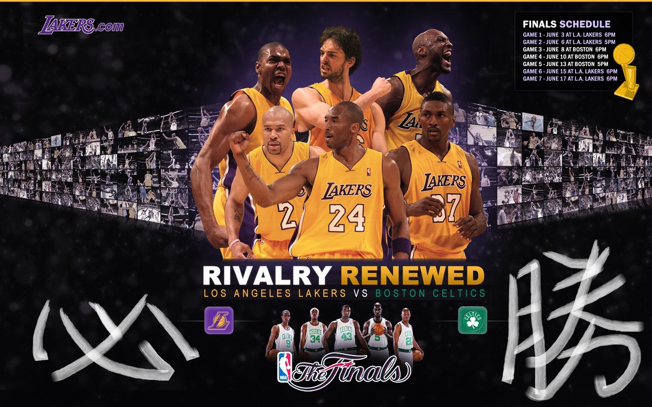 2010年NBA總決賽海報