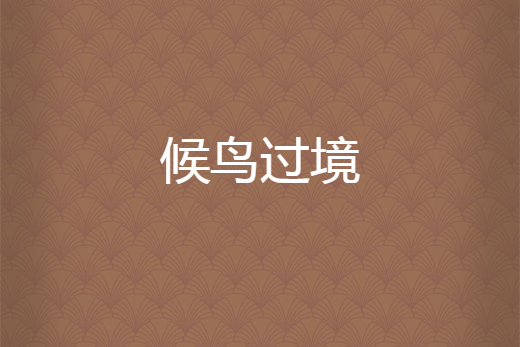 候鳥過境 候鳥過境