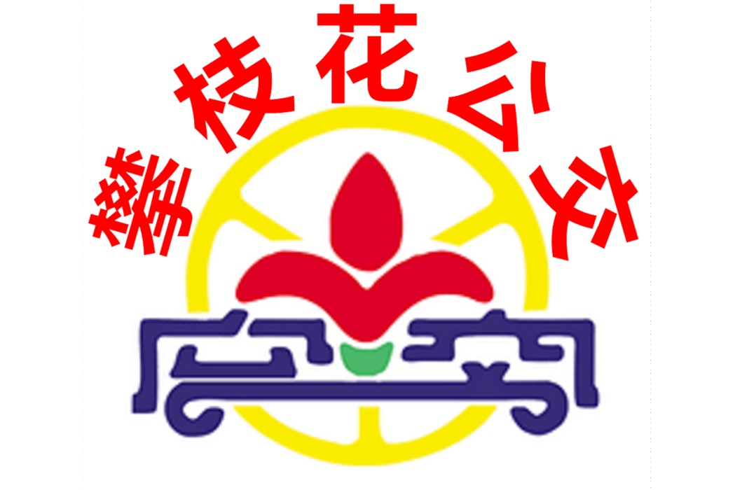 攀枝花公交 攀枝花公交