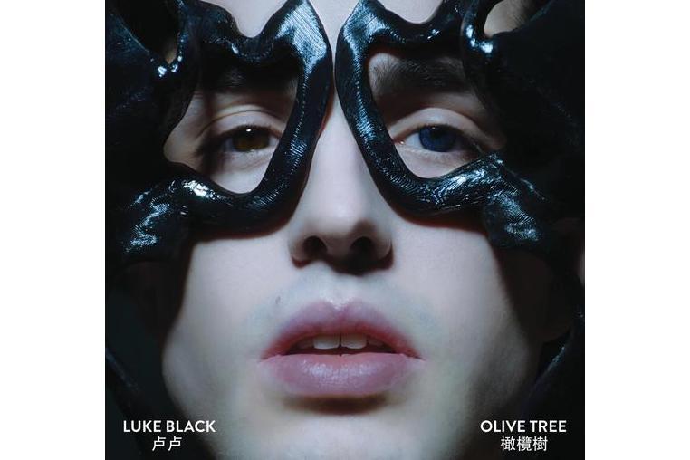 Olive Tree Olive Tree