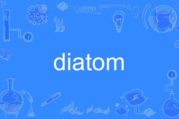 diatom diatom
