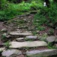 軍嶂古道 軍嶂古道