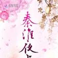 秦淮夜上