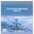 2008年初江西低溫雨雪冰凍災害研究論文集