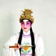陳卓華(中國內地女演員) 陳卓華(中國內地女演員)