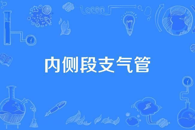 內側段支氣管 內側段支氣管