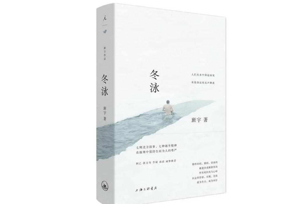 冬泳(班宇著短篇小說) 冬泳(班宇著短篇小說)
