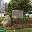 柱峰村