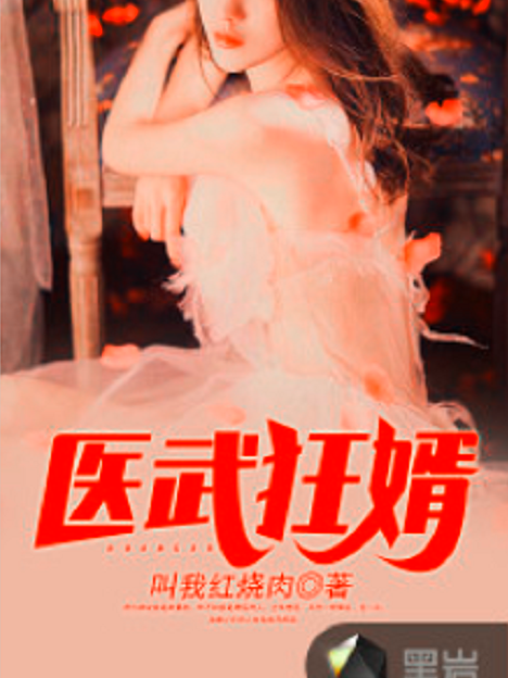 醫武狂婿(叫我紅燒肉創作的網路小說) 醫武狂婿(叫我紅燒肉創作的網路小說)