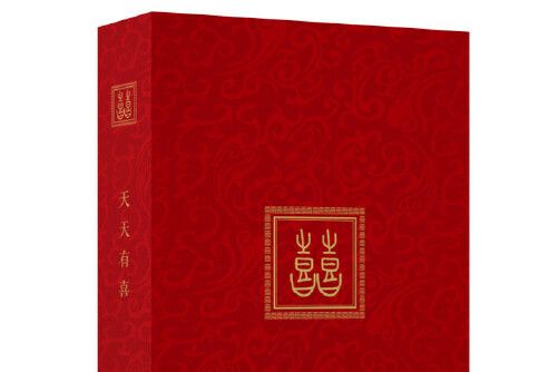 囍(2015年中國青年出版社出版的圖書) 囍(2015年中國青年出版社出版的圖書)