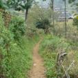 松子樹村(雲南曲靖市富源縣大河鎮下轄村) 松子樹村(雲南曲靖市富源縣大河鎮下轄村)