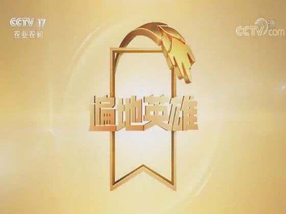 遍地英雄(CCTV-17農業農村頻道電視欄目名稱) 遍地英雄(CCTV-17農業農村頻道電視欄目名稱)