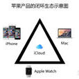閉環效應 閉環效應