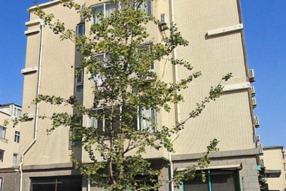 聽海新居 聽海新居