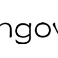 hangover(英語單詞) hangover(英語單詞)