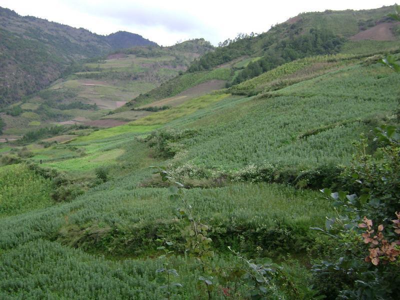 虎生地村 虎生地村