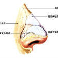 咽梅毒 咽梅毒