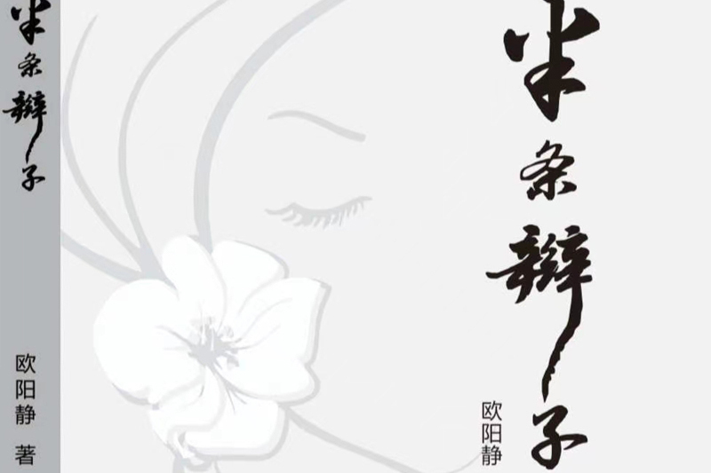 半條辮子 半條辮子