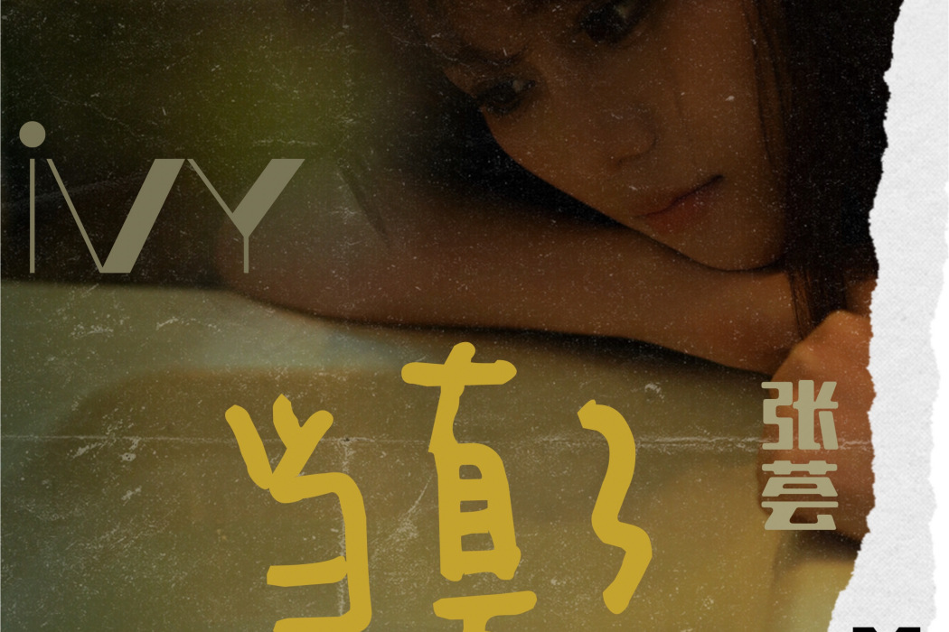 當真了(張薈演唱的歌曲) 當真了(張薈演唱的歌曲)