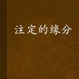 注定的緣分 注定的緣分