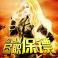 盡職保鏢 盡職保鏢