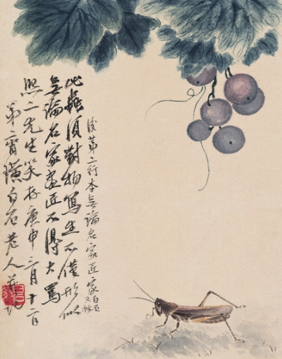 葡萄蝗蟲 葡萄蝗蟲