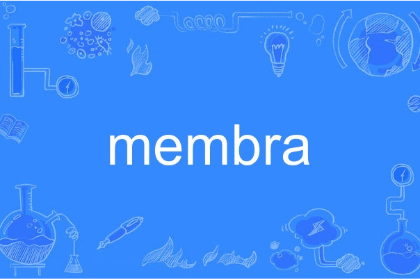membra