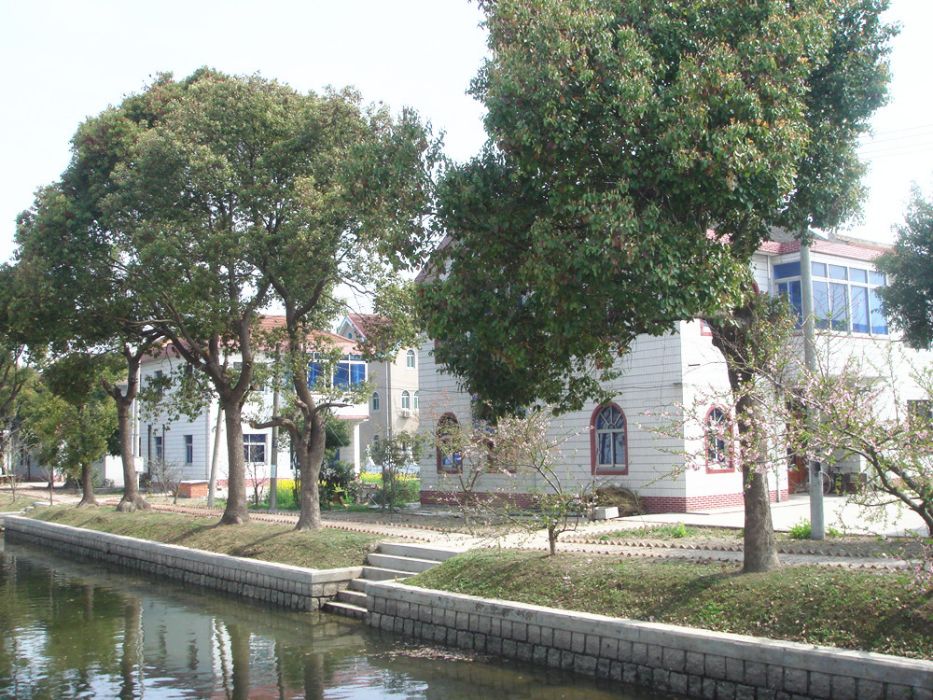許家草村 許家草村