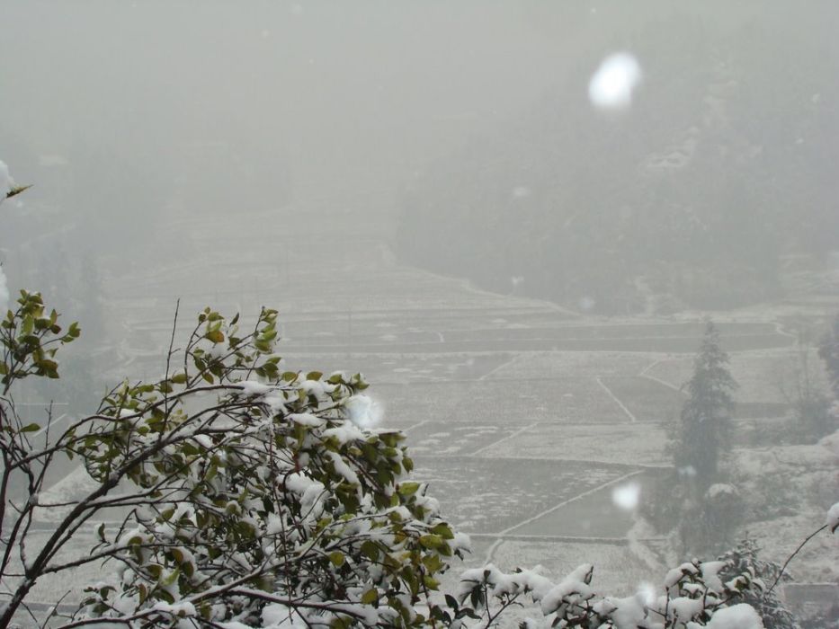 資山村 資山村